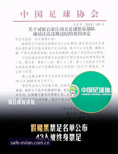 米兰安装费 中国足协第三批禁足名单解读教程:从行业震荡看足球生态重构